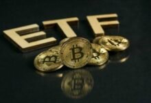 Spot Bitcoin ETFs: Everything You Need to Know